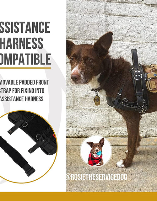 Load image into Gallery viewer, Service Dog Harness No-Pull Dog Harness Adjustable Comfort Pet Dog Vest Harness for Outdoor Walking (Black, Long Version)
