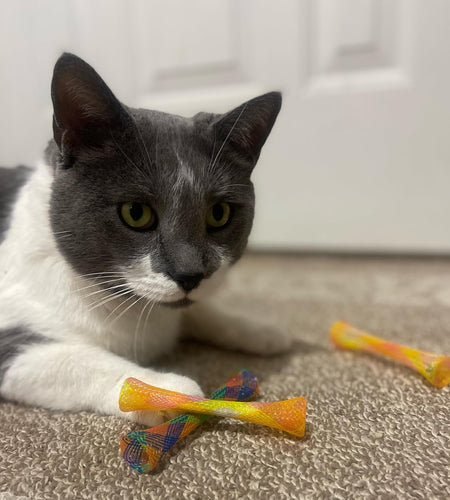 Ethical Pet Catnip Cat or Kitten Toy, Colorful Fun Tubes. Interactive Bouncy Cat Toy, Assorted Color