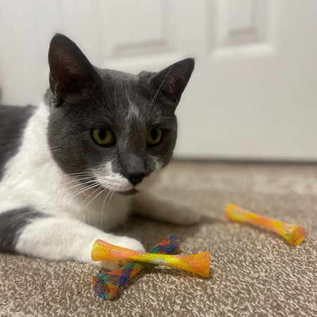 Ethical Pet Catnip Cat or Kitten Toy, Colorful Fun Tubes. Interactive Bouncy Cat Toy, Assorted Color